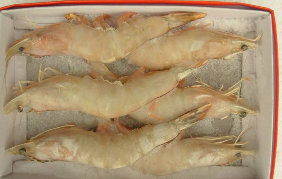 冷冻食品批发行业好做吗？一般利润有多少？(1)