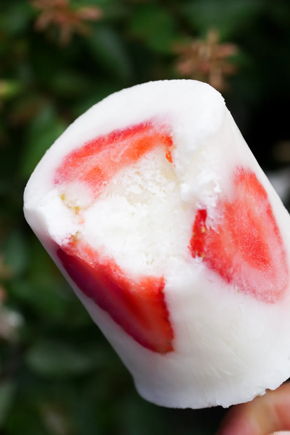 自制棒冰怎么做（简单且颜值高的棒冰教程）(8)