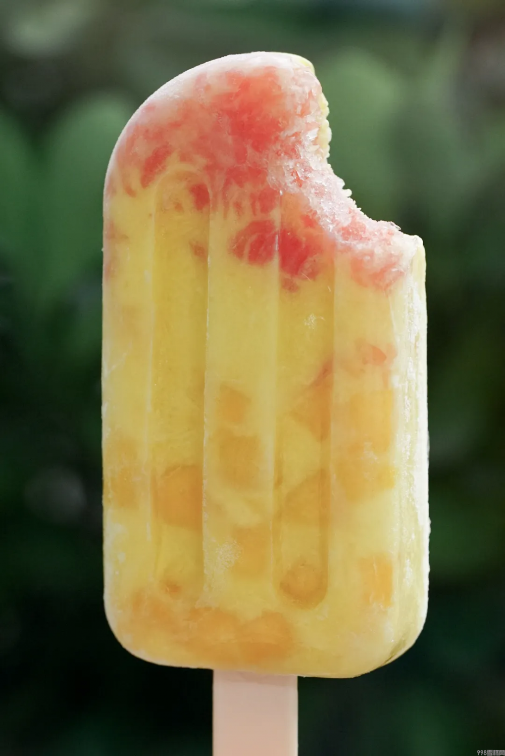 自制棒冰怎么做（简单且颜值高的棒冰教程）(17)