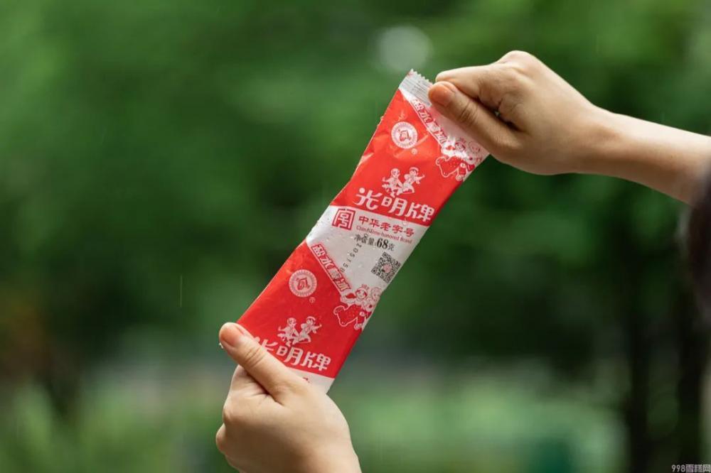 小布丁雪糕是什么牌子（好吃又便宜的雪糕冰棍推荐）(2)