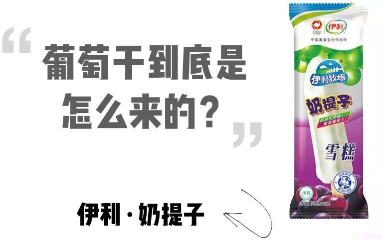 四个圈雪糕是什么牌子(盘点记忆中的那支雪糕)(11) 四个圈雪糕是什么牌子(盘点记忆中的那支雪糕)(11)