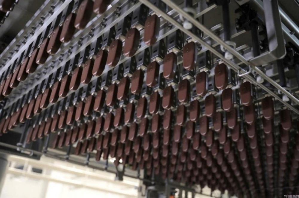 和路雪冰淇淋灯塔工厂揭幕（引领冰淇淋行业高质量可持续发展）(3)