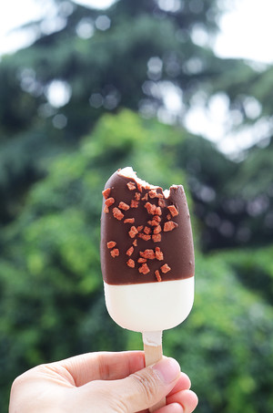 最简单快手的雪糕做法（酸奶雪糕附变化版本的做法）(4)