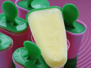 牛奶雪糕的做法（解读牛奶雪糕自己怎么做）(1)