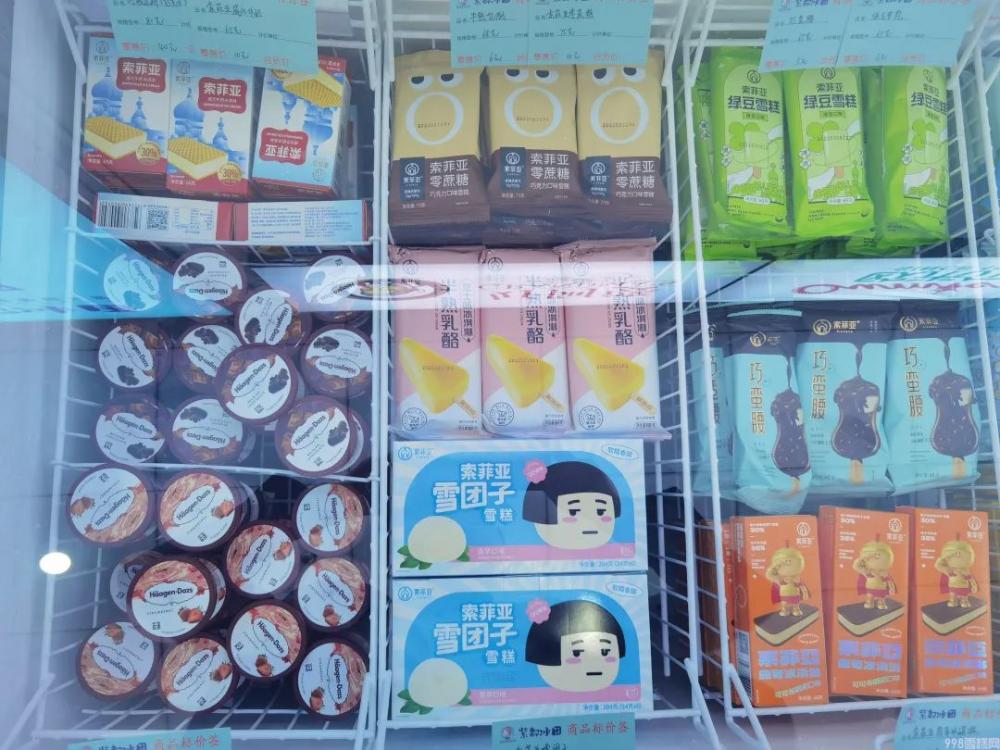 冰淇淋家批店想靠陈列引流(雪糕家庭批发需要做好这些)(5)