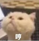 十五款神仙雪糕盘点(不买雪糕都对不起自己)(图1) 十五款神仙雪糕盘点(不买雪糕都对不起自己)(1)