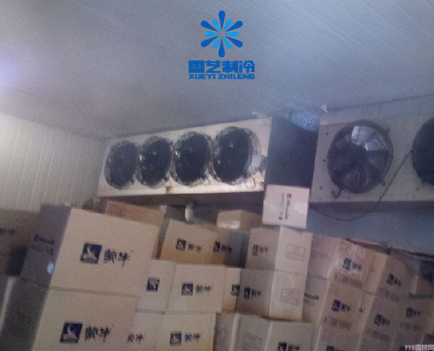 冰棍批发生意好做吗（解读在城里开一个雪糕批发店赚钱吗）(3)