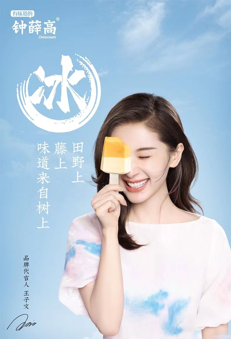 钟薛高杏子奶（杏子奶口味)雪糕  20支(1)