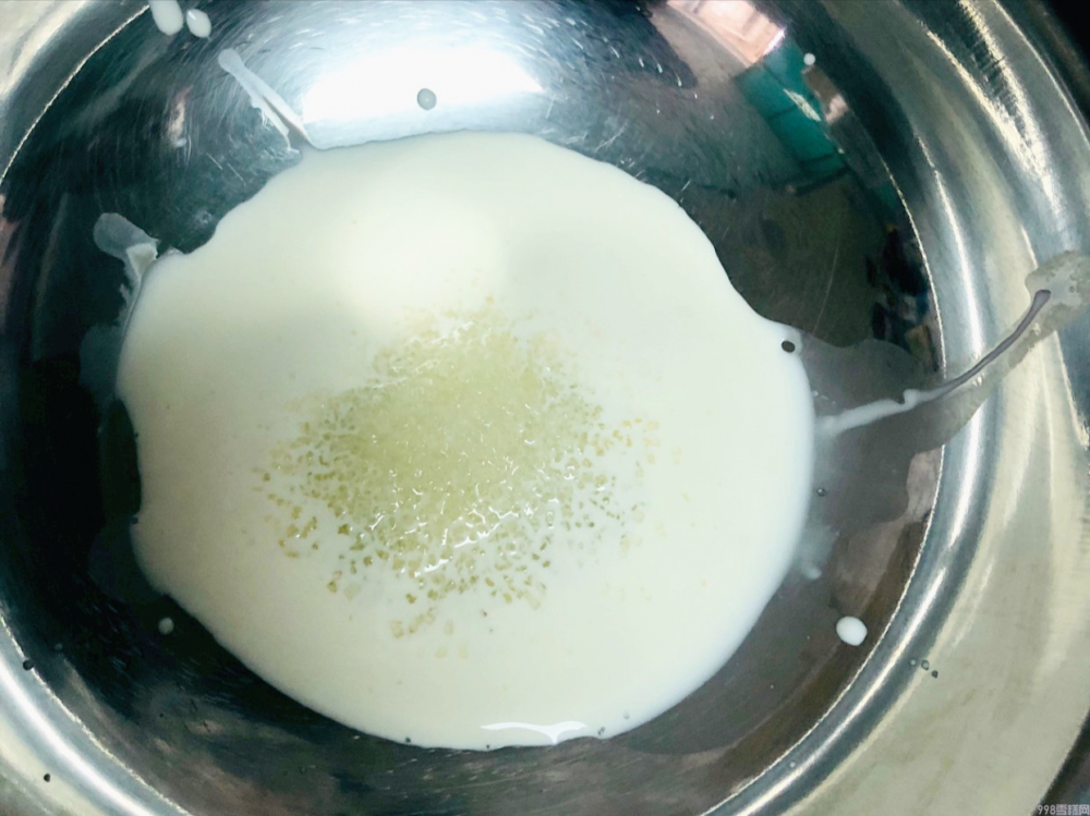 绿豆雪糕自己在家怎么做（教你在家做绿豆雪糕）(6)