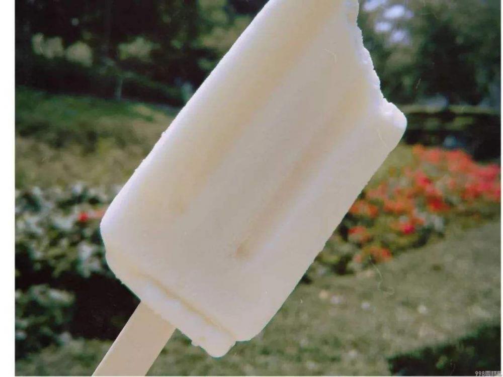 哪款雪糕最好吃（盘点最好吃的5种雪糕）(3)