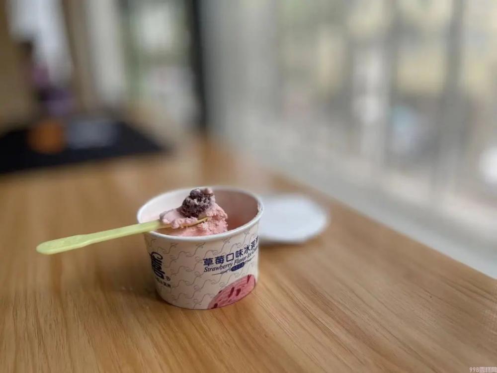 杨梅雪芭和椰椰雪糕哪个好吃（分享假期吃了20款雪糕你喜欢那个）(19)