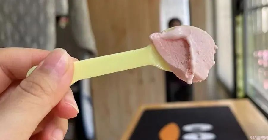 杨梅雪芭和椰椰雪糕哪个好吃（分享假期吃了20款雪糕你喜欢那个）(20)