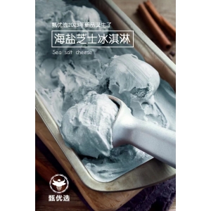 甄优选牛乳餐饮大桶装冰淇淋海盐芝士冰淇淋 4KG