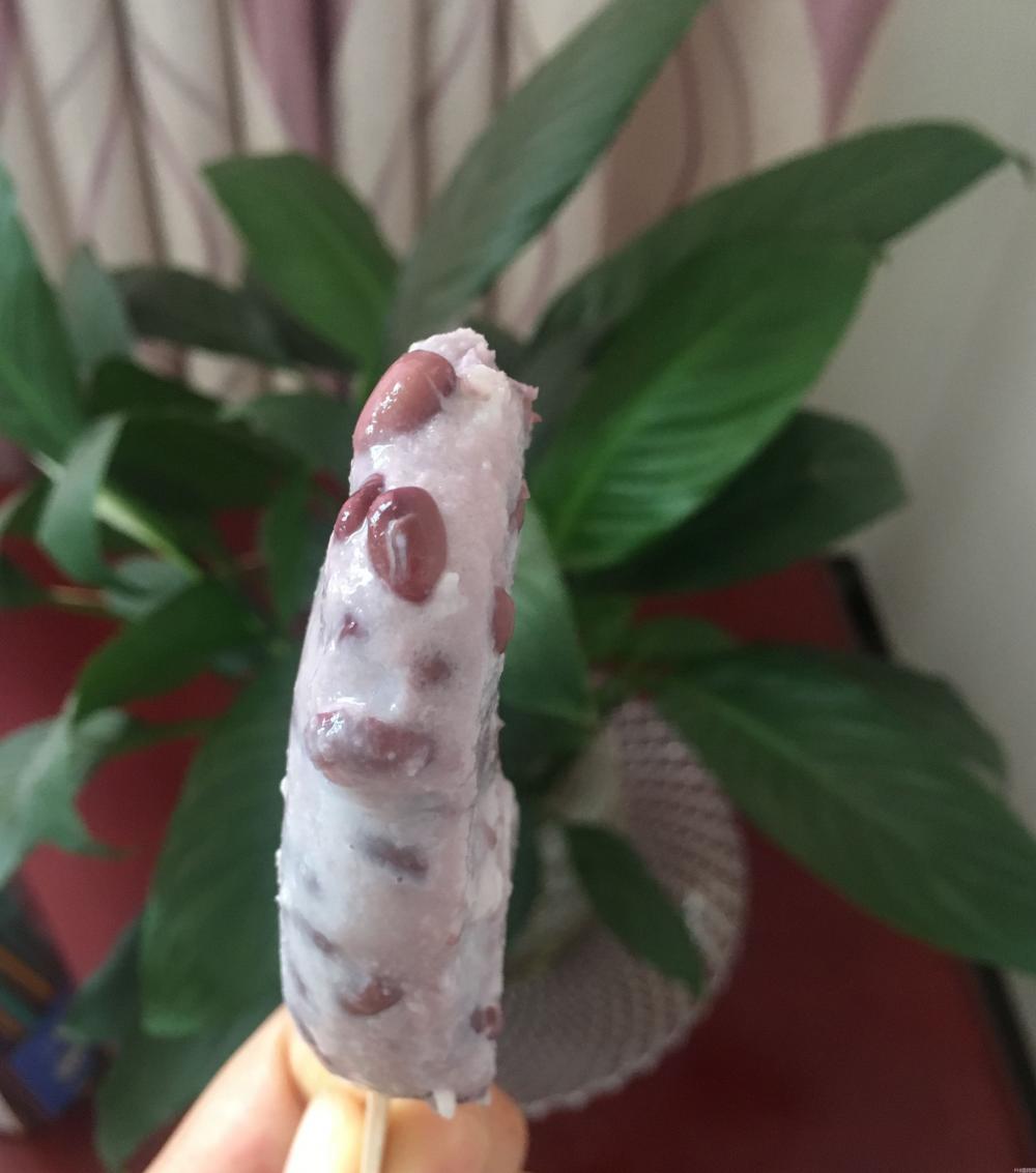 一瓶牛奶，一碗红豆，教你们做出美味鲜奶红豆冰棒(10)