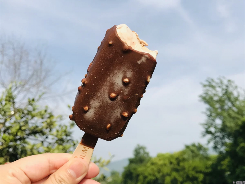 钟薛高，梦龙，你更喜欢什么雪糕(6)